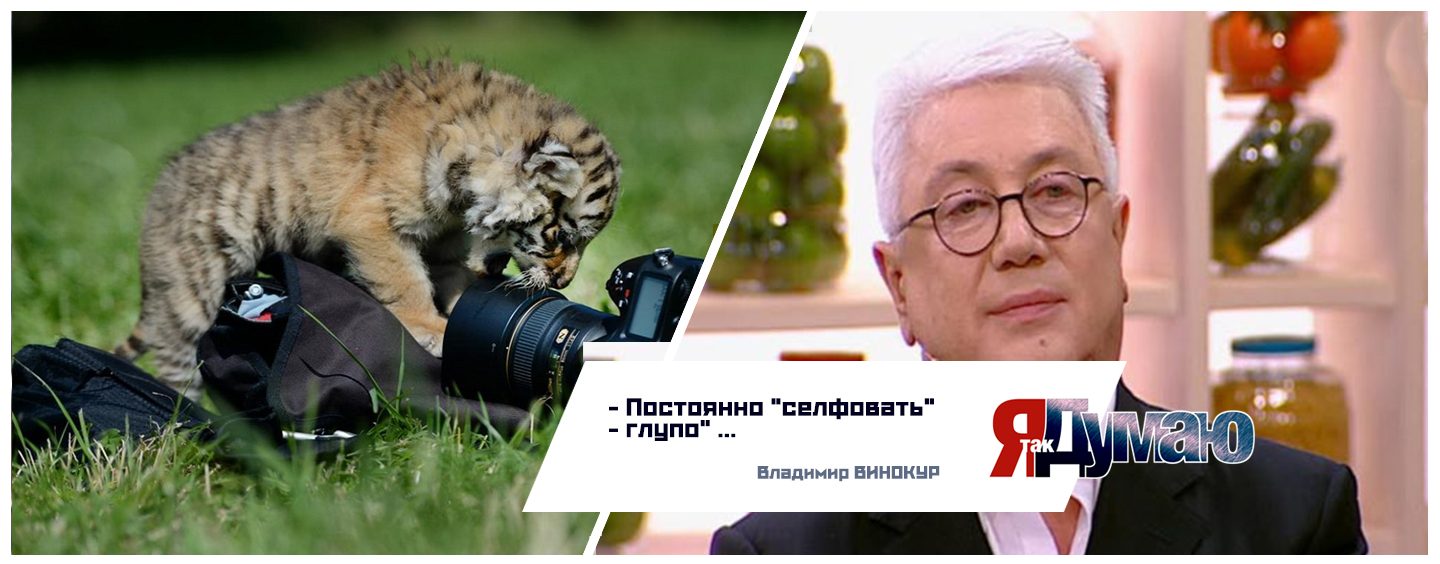Тимати сделал селфи с Путиным, Басков – с  Медведевым, а кто-то –  с тиграми.
