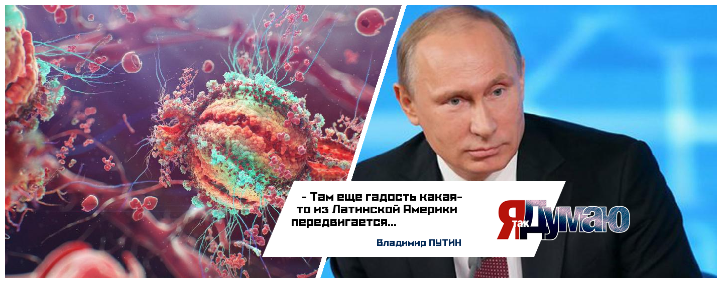 Нам грозит новый вирус Зика? Успокаивает только Путин
