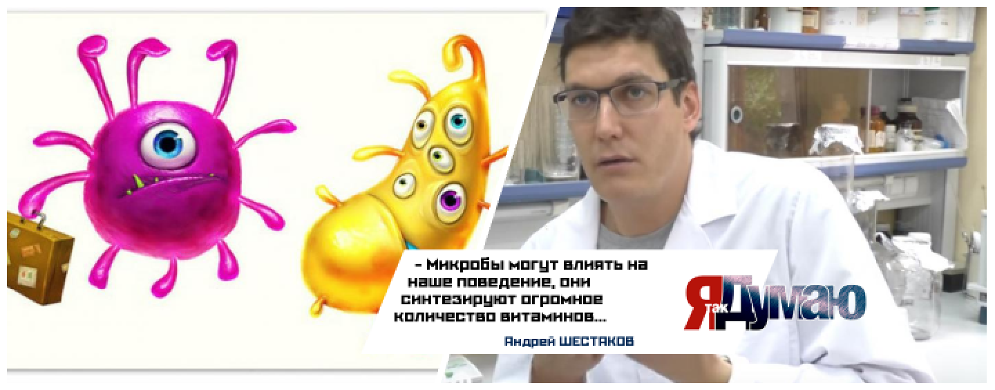 Андрей Шестаков: “Микробы – это отдельный орган, который нам необходим”.