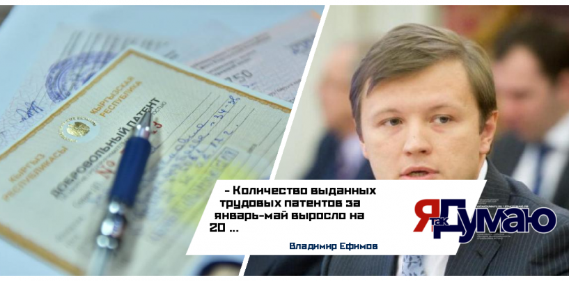 Владимир Ефимов сообщил об увеличении числа выданных в Москве трудовых патентов
