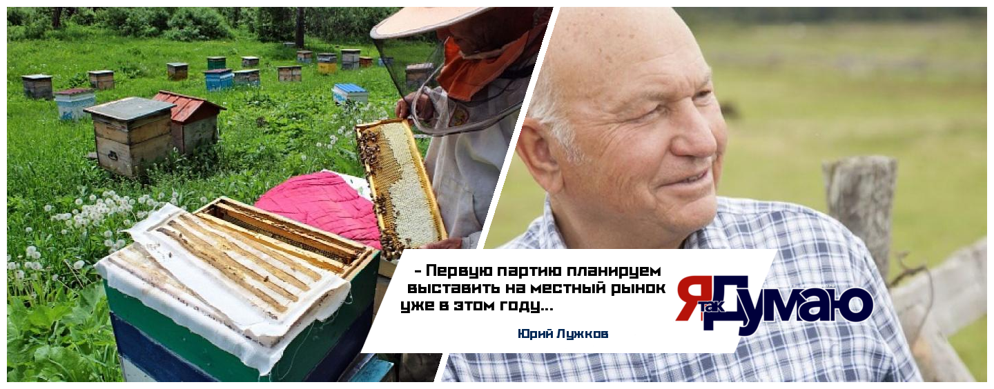 Юрий Лужков запустил пчеловодство в Калининградской области
