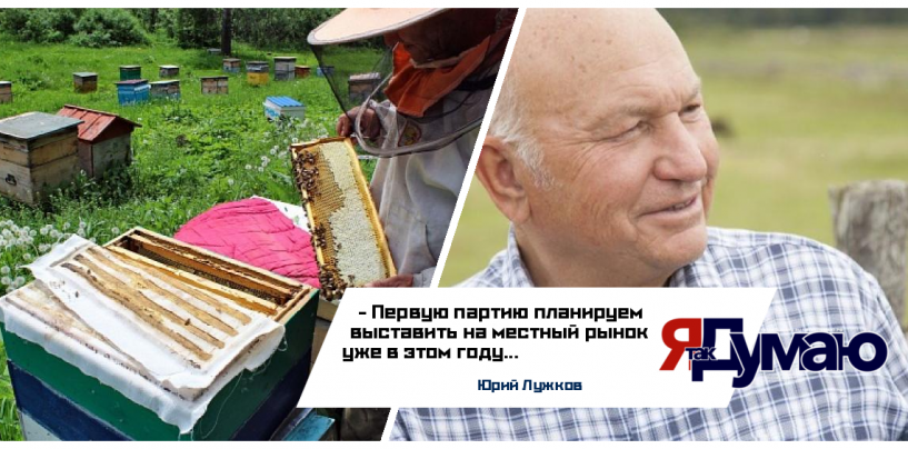 Юрий Лужков запустил пчеловодство в Калининградской области
