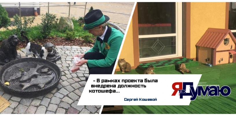 Авторский коллектив зеленоградского проекта «Котошеф» награжден национальной премией «Серебряный Лучник»