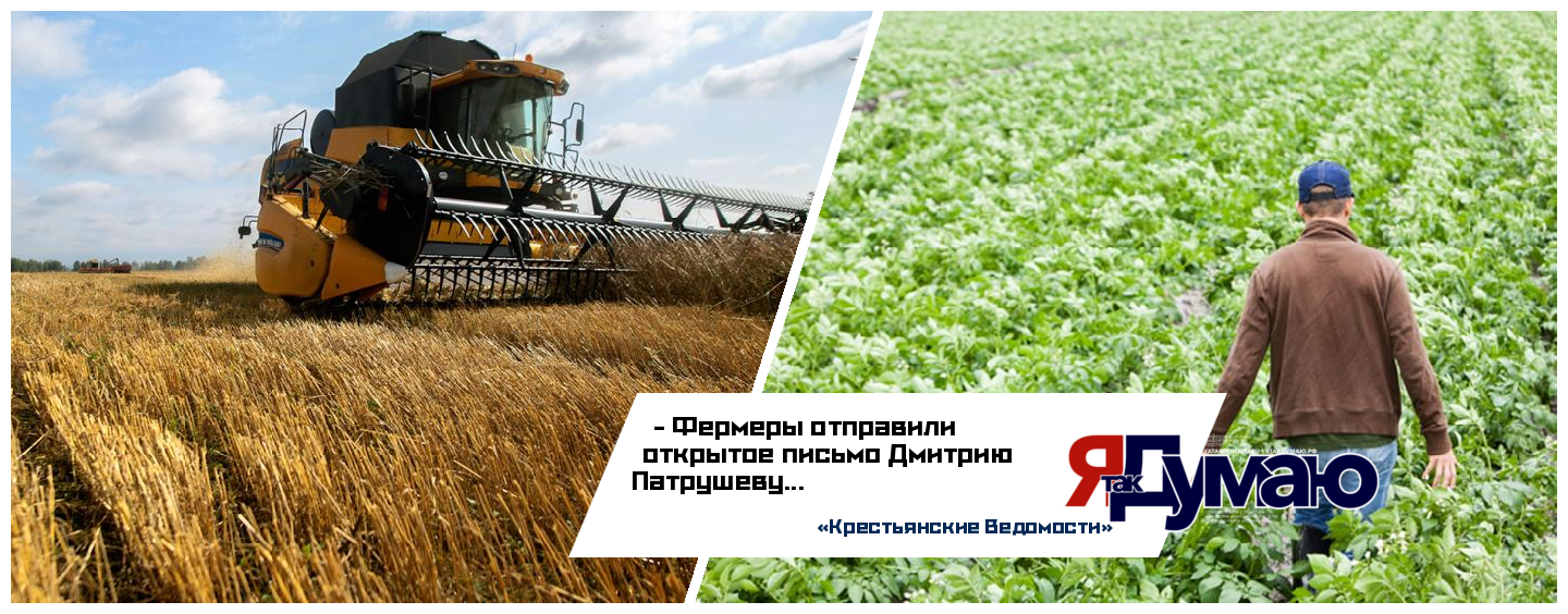 Фермеры написали открытое письмо руководителю российского Минсельхоза Дмитрию Патрушеву