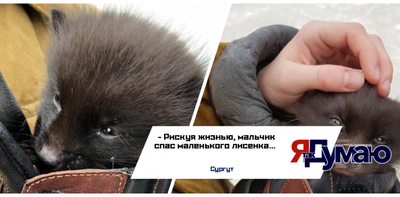Рискуя жизнью, мальчик спас маленького лисенка