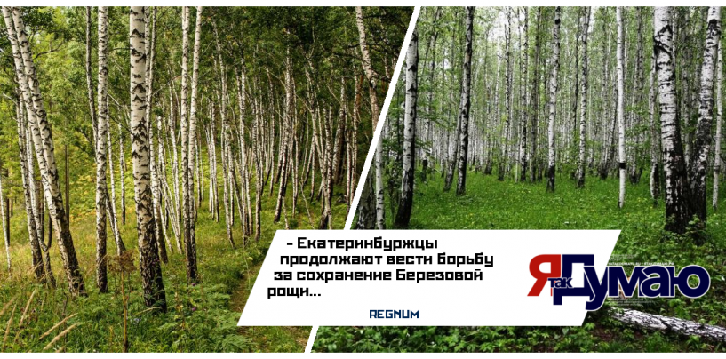 Екатеринбуржцы просят Владимира Путина о защите парка на Краснолесье