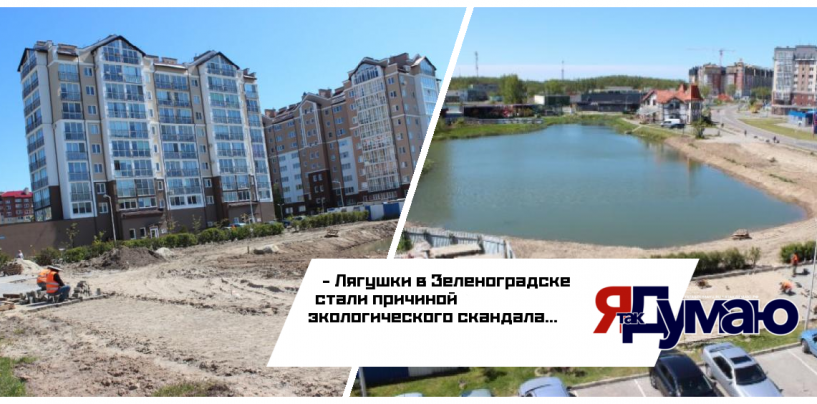 Защитница лягушек вмешалась в благоустройство карьера в Зеленоградске