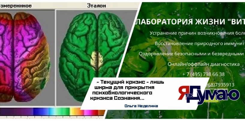 Ольга Неделина. Создаём “Общественно – социальный интеллект” или Когда мы окажемся в стране Гениев.