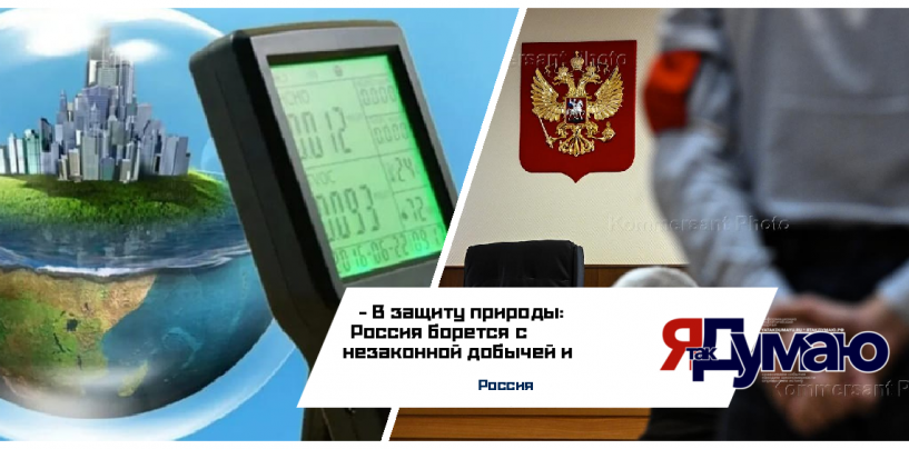 В защиту природы: Россия борется с незаконной добычей и восстанавливает экологический баланс!