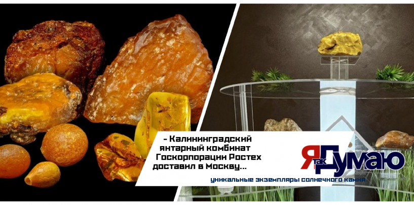 Эксклюзивный предпоказ самородков и инклюзов провёл в столице Янтарный комбинат