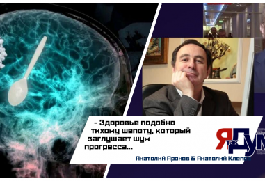 Микропластик в мозге: как пластиковая лопатка из вашей мультиварки Bork угрожает вашему здоровью | Клепов & Аронов