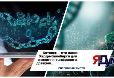 Метафизика и математика идеального состояния: от генетического равновесия к протоколу Биткоина | Татьяна Бурмагина & САТОШИ НАКАМОТО & Айрат Минихузин