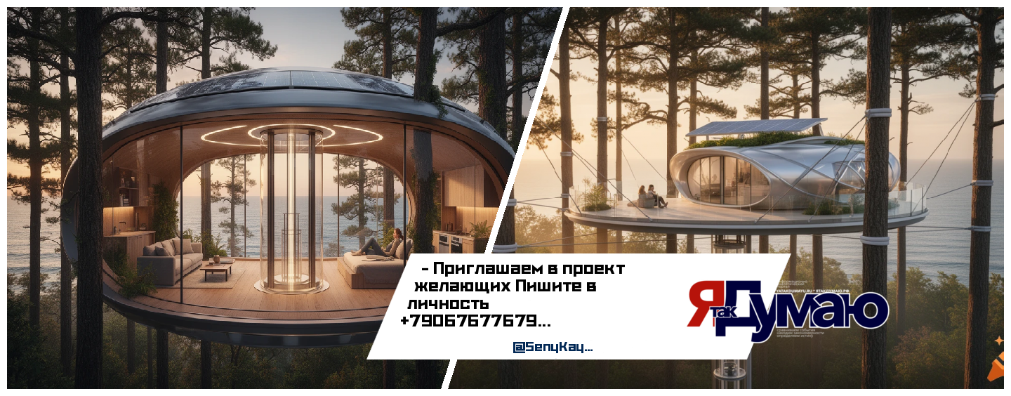 WOODHOUSE  Дом лаборатории по взаимодействию с лесом …