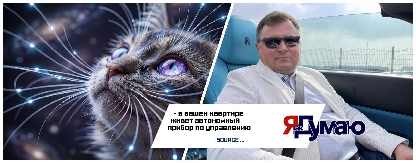 Тайный код КОТа: почему они смотрят в пустые углы и как они нас лечат.