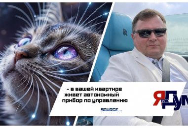 Тайный код КОТа: почему они смотрят в пустые углы и как они нас лечат.