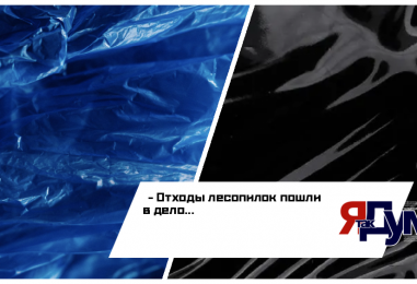 Отходы лесопилок пошли в дело — учёные нашли новый путь к нейлону
