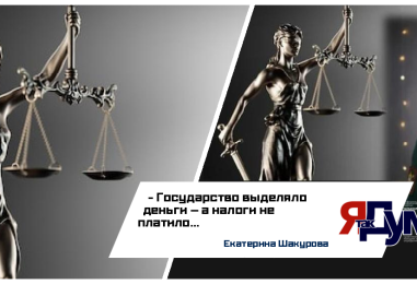 Екатерина Шакурова. БЕЗ ПРАВА ГОЛОСА. ЧАСТЬ 6. ГОСУДАРСТВО НЕ ПЛАТИЛО ЗА МЕНЯ НАЛОГИ 16 ЛЕТ. Я ПРОВЕРИЛА — И НАШЛА