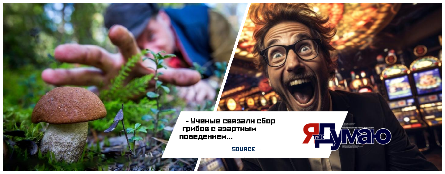 Ученые связали сбор грибов с азартным поведением